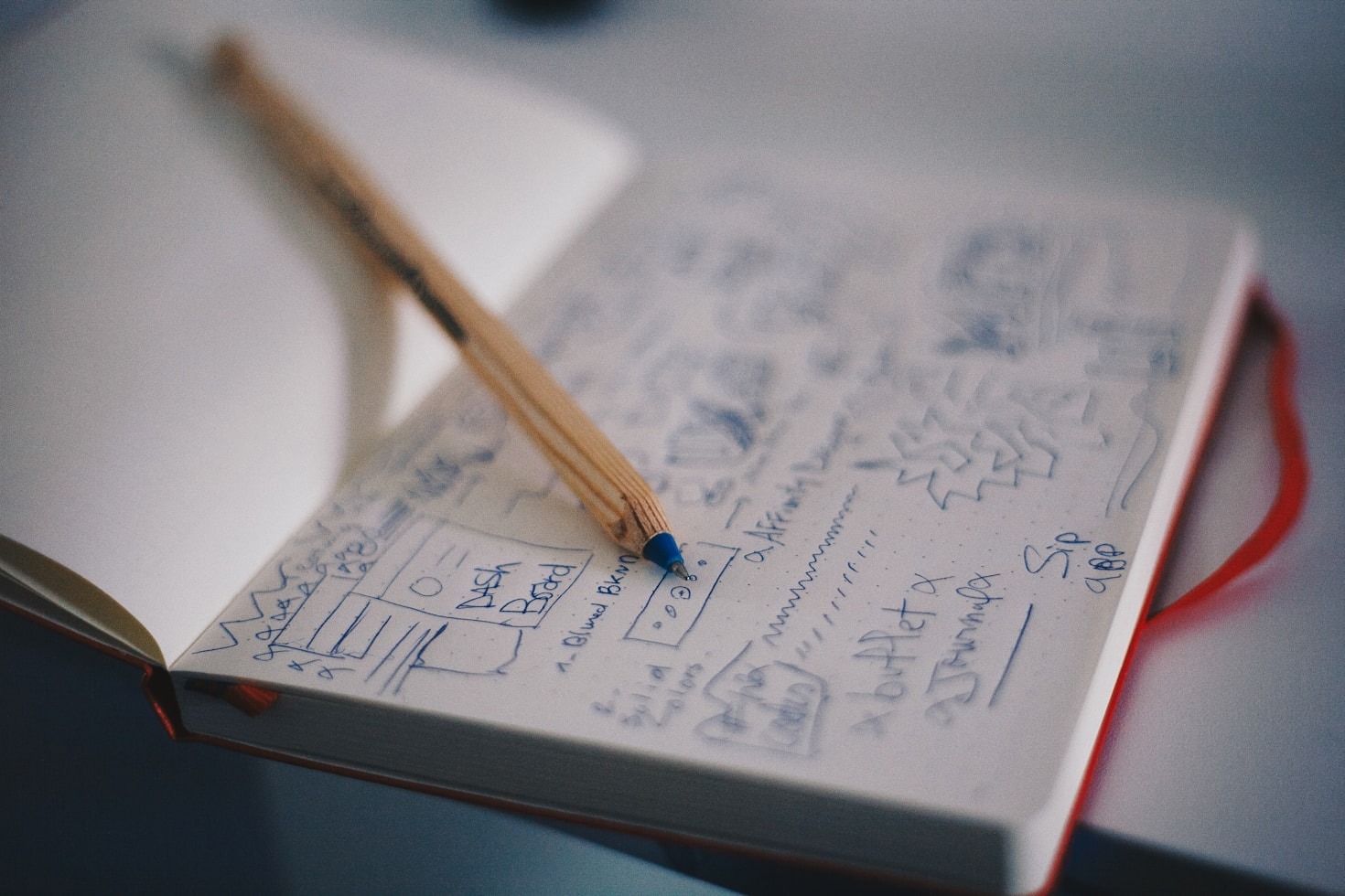 Exploring the World Through Literature and Design